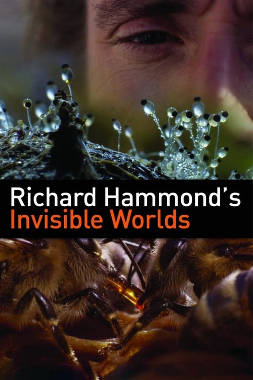Richard Hammond’s Invisible Worlds