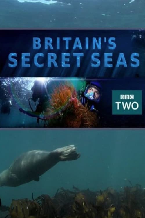 Britain’s Secret Seas